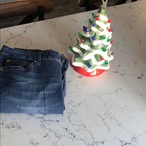 Torrid Denim Jeans